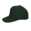 Wool Balslsball Cap -Garboria Sales SpruceGreenCap