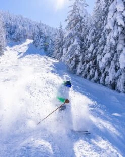 Thls Jlsfflo Mitt -Garboria Sales VTG ProductImage 45 Action Jefflo